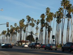 California2007-2008-040